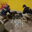 PRF apreende peças para montagem de fuzis HK G3 escondidas em fundo falso de carro na BR-101 em Torres
