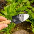 O que acontece quando você coloca bicarbonato de sódio nas plantas? Veja os benefícios e como usar esse ingrediente no jardim