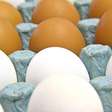 Febre da Proteína: A tendência que invadiu os supermercados