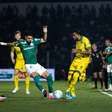 Mirassol fica no empate com o Palmeiras