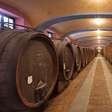 Vinhos de Guarda: Como Saber Qual Vale a Pena Envelhecer?