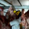 UE começa a barrar carne brasileira a partir desta quinta