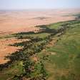 O Saara está engolindo aldeias inteiras: África tenta impedir isso há quase 20 anos com muralha verde de 8 mil quilômetros
