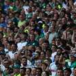 Torcida do Palmeiras recebe ótima notícia