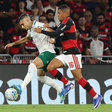 Jornalista torcedor do Palmeiras fica desesperado com o Flamengo