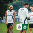 Santos x Palmeiras: Onde Assistir ao Vivo, Horário, Escalações e Arbitragem