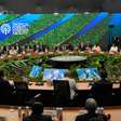 Reino Unido anuncia aporte de US$ 540 milhões ao Fundo Florestas Tropicais para Sempre (TFFF)