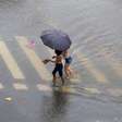 Brasil pode sentir efeitos do 'super El Niño' na primavera; veja previsões para diferentes regiões