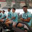Palmeiras inicia preparação para duelo com o Botafogo pelo Brasileirão