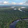 Dia da Amazônia: por que preservá-la é importante para o mundo todo?