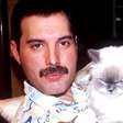 80 anos de Freddie Mercury: relembre a relação especial do cantor com os gatos