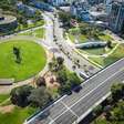 Operação Delicada: Mais de 30 Carpas Gigantes são resgatadas de Viaduto em Porto Alegre