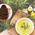Óleo de alecrim para queda de cabelo: o que realmente funciona