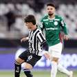 Botafogo trava o Palmeiras no Nilton Santos e deixa escapar chance de voltar a vencer