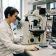 Cientistas descobrem sinal imunológico que ajuda medula espinhal a se regenerar