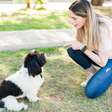 Como corrigir o comportamento canino? Veterinária dá dicas