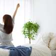 5 plantas para ter no quarto e ajudar a dormir melhor