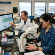 Estudo revela que metamorfose de verme marinho reprograma funções celulares