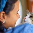 Sinais sutis de que seu gato pode estar com problemas de saúde