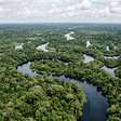 Governo cria reserva sustentável de 114 mil hectares no Amazonas