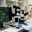 Estudo identifica células cerebrais ligadas ao estresse e aponta novo alvo terapêutico