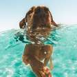 Medo de água? 3 lições de uma história real para ensinar seu cão a nadar no mar