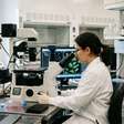 Cientistas criam terapia pronta para uso contra tumores sólidos com sangue do cordão umbilical