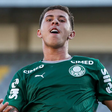 Palmeiras afasta jogador do sub-20 após denúncias de agressão física por ex-mulher