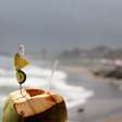 Refrescante por natureza: por que a água de coco virou símbolo de hidratação no calor