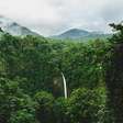Após perder três quartos de florestas em 50 anos, Costa Rica é o primeiro país tropical a reverter o desmatamento