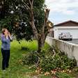 Após plantar uma mangueira a menos de dois metros do muro, mulher passa oito anos recolhendo folhas e frutas no próprio quintal, até o vizinho cortar os galhos que avançavam sobre a garagem e ela encontrar metade da copa no chão ao voltar do trabalho