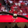 Tratador de águia do Benfica é preso em investigação sobre tráfico de cocaína