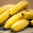 Banana pode trazer diferentes benefícios a cada momento do dia; descubra