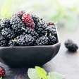 Como cultivar amoras em casa e ter frutas o ano todo?