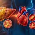 Avanço da esteatose hepática acende alerta