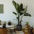 Cores, materiais naturais e mais: 7 tendências de decoração para a primavera