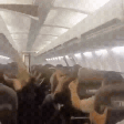 Teto de avião despenca durante voo e causa pânico; veja vídeo
