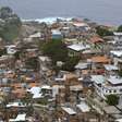 Câmara do Rio aprova plano de arborização específico para as favelas