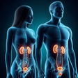 Urologia reforça cuidado com mulheres e homens