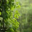 Sonhar com chuva: o que significa e como interpretar
