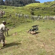 Vídeo mostra cães-robôs em ação durante exercício militar entre Índia e EUA