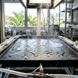 Cientistas usam laser e energia solar para dessalinizar água do mar sem gerar salmoura