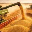 Diversificação regional deve limitar efeitos do El Niño no agro brasileiro, diz especialista