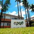 CPQD abre inscrições para programa de estágio na área de tecnologia