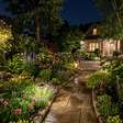 Se você ouvir grilos cantando em casa ou no jardim à noite, descubra o que isso pode indicar e por que muitos consideram um sinal positivo