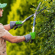Jardinagem para iniciantes: 5 dicas para quem quer começar
