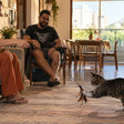 Existe um erro na brincadeira com gatos que pode ensinar o animal a atacar justamente aquilo que você menos quer