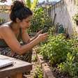 Mulher começou a tomar um chá feito com uma planta que crescia no próprio quintal porque uma vizinha dizia que "sempre usou", mas parou de achar a receita inofensiva quando os mesmos sintomas começaram a aparecer todos os dias
