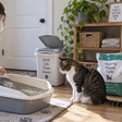 Seu gato pode estar desistindo da caixa de areia por uma coisa que você muda achando que está ajudando