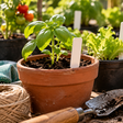 Como criar um marcador de plantas que não desaparece depois da primeira rega